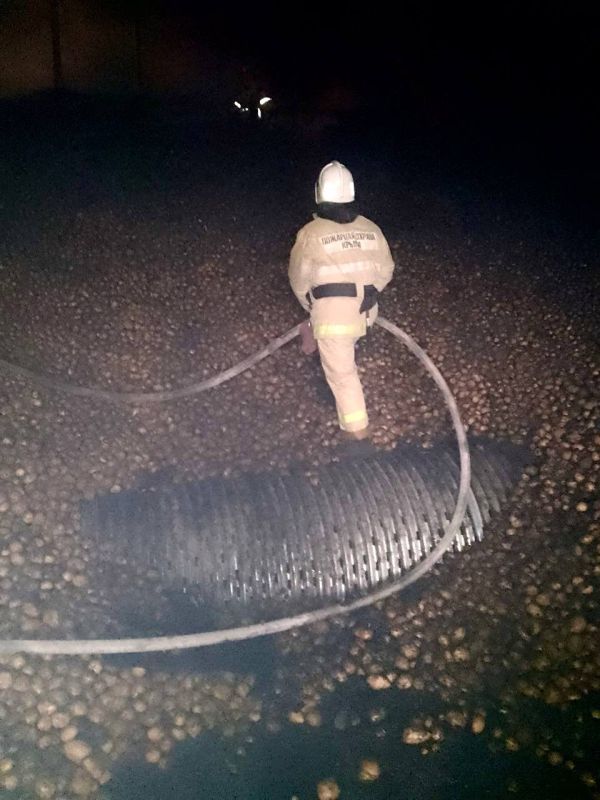 Крымские огнеборцы ликвидировали пожар в Джанкойском районе