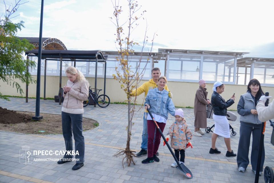 Евпаторийские семьи высадили аллею кленов Евпаторийские семьи высадили аллею кленов