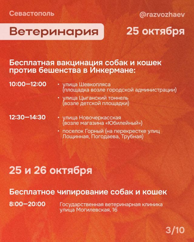 ������ ���������: ������� ��������, � ��� ����������� ��������������� ���������� ����������� ��������� ���������� �����������