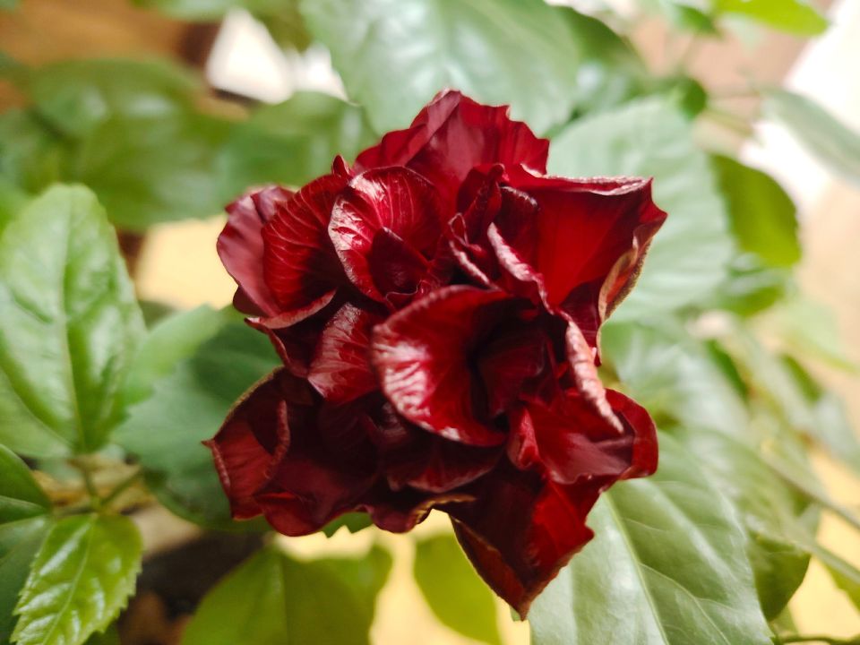 � ������ �����, �������!. ���������� �������� ����� � ������ ������������� ������! ������ ��� ���� ������������� ��������! ������� � �������� ������� (�������� ��������� �����), t + 11 - +18, ����� ������, ���-���������