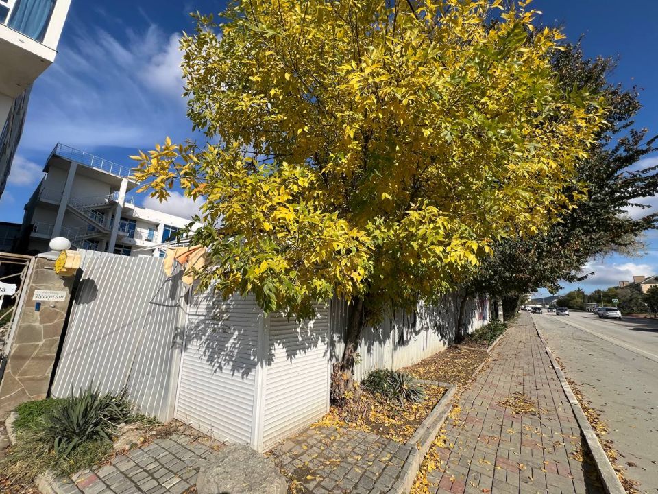 ��������������� �� ����������� ������� ������������� ����������