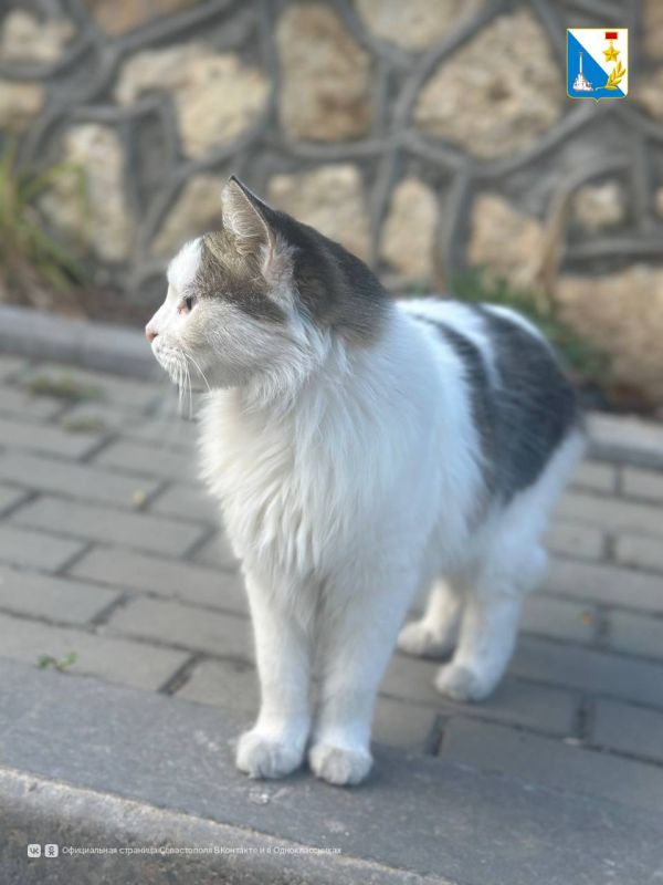 ���������� ����������. ������ ���������� ������ �������� ���������� ���������� �������� �������� �� ��������� � ���������: - � 10:00 �� 12:00: