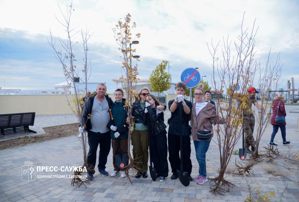 Евпаторийские семьи высадили аллею кленов Евпаторийские семьи высадили аллею кленов