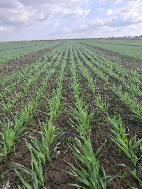 �������� ������� ��������� 65% �� ����� �������� ��������