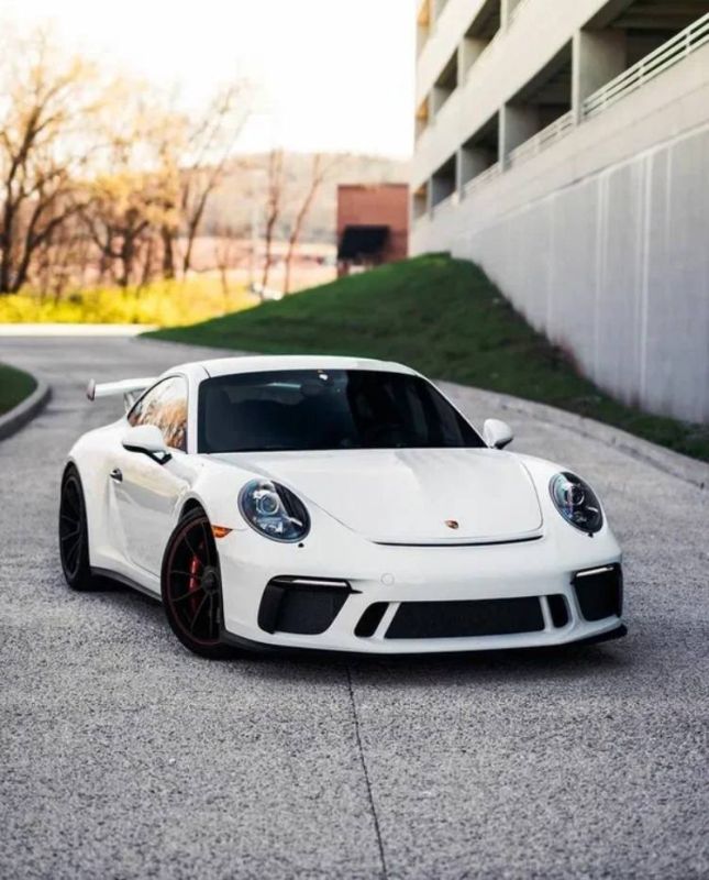  :  Porsche             95,9%    114  