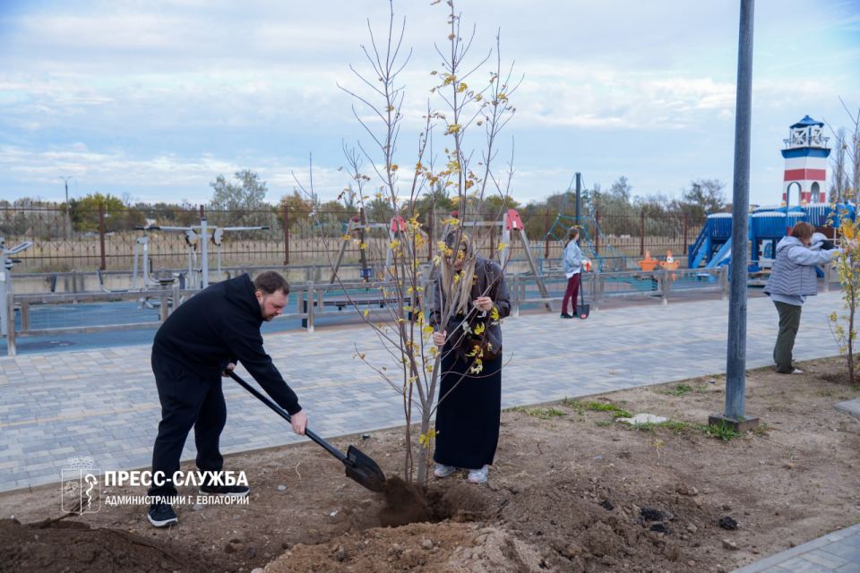 Евпаторийские семьи высадили аллею кленов Евпаторийские семьи высадили аллею кленов