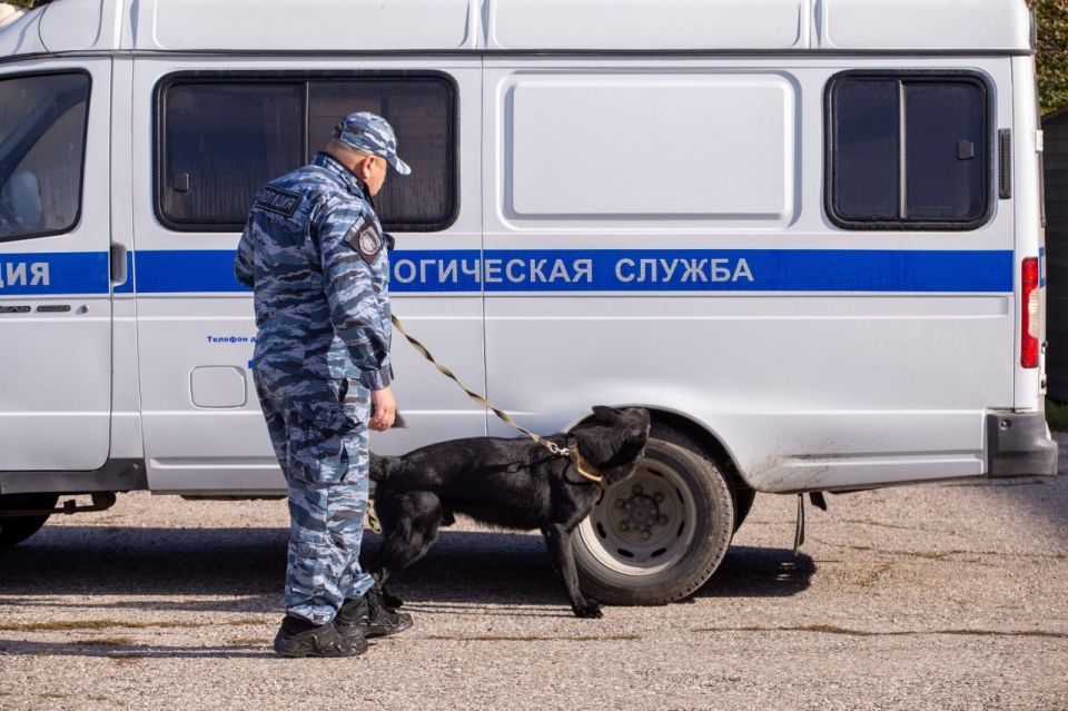 Крымские школьники открыли для себя мир кинологии Крымские школьники открыли для себя мир кинологии