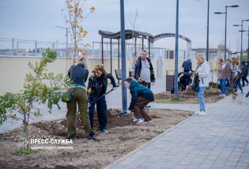 Евпаторийские семьи высадили аллею кленов Евпаторийские семьи высадили аллею кленов