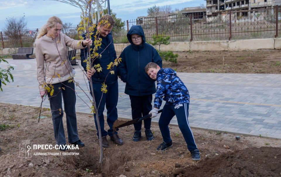 Евпаторийские семьи высадили аллею кленов Евпаторийские семьи высадили аллею кленов