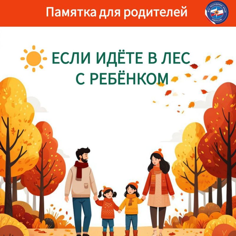 Если вы решили отправиться в лес вместе с детьми, то обязательно расскажите им о правилах безопасного поведения на природе