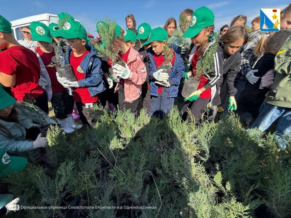 Юные экологи восстанавливают лес Юные экологи восстанавливают лес