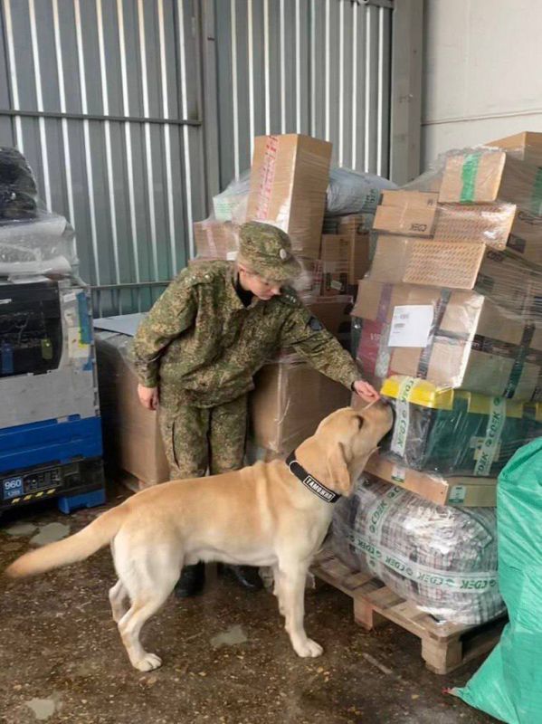 ������ ���������: 25 ������� � ������ ���������� ���� �����������