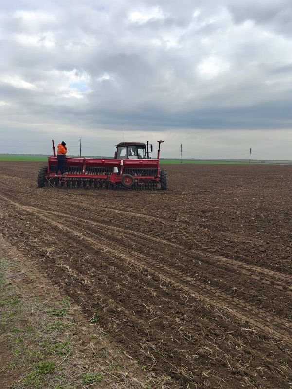 ��������� �������: ������� ����� ��� ���������� �������������������� ����������� ������ ������, ������������ �� ���������� ������������� ��������� ���������: ��� ������� ���� � ��� ������ ����