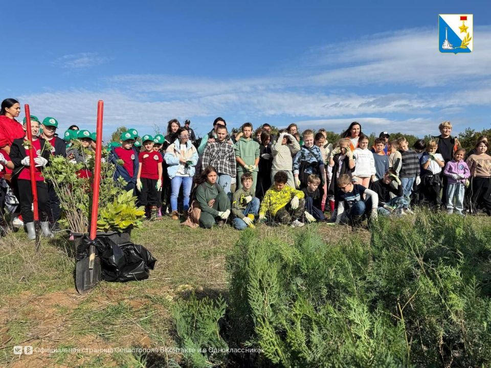 Юные экологи восстанавливают лес Юные экологи восстанавливают лес