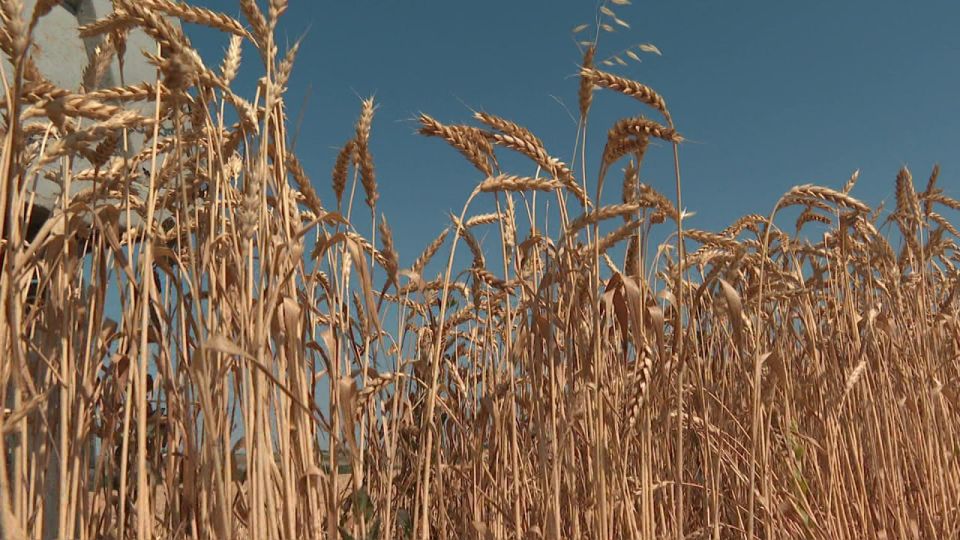 �������������� ����������������� ������������������ ������ ����������� ������ ��������� ����������������� ���������