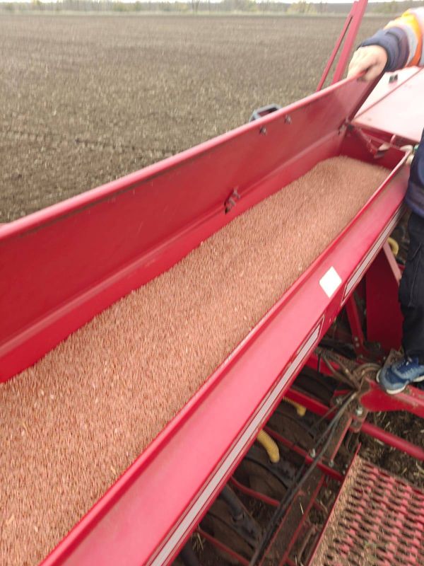 ��������� �������: ������� ����� ��� ���������� �������������������� ����������� ������ ������, ������������ �� ���������� ������������� ��������� ���������: ��� ������� ���� � ��� ������ ����