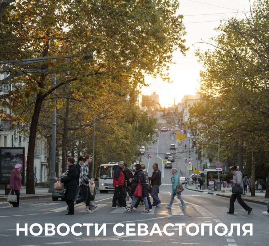  :   :.          2026     2027  2028 