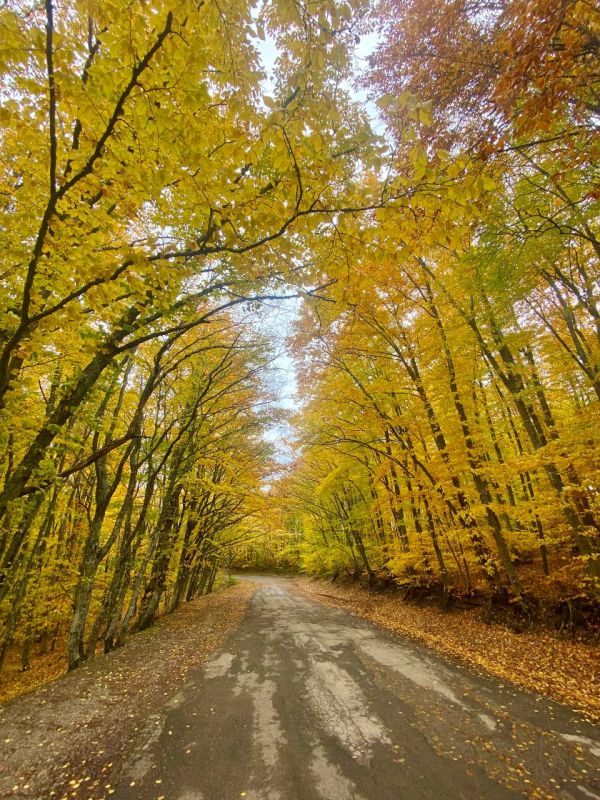 ������ � �����, ����� ����� �������� ����, � ���� ��������