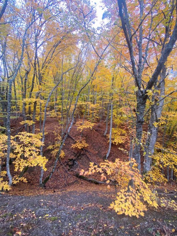 ������ � �����, ����� ����� �������� ����, � ���� ��������