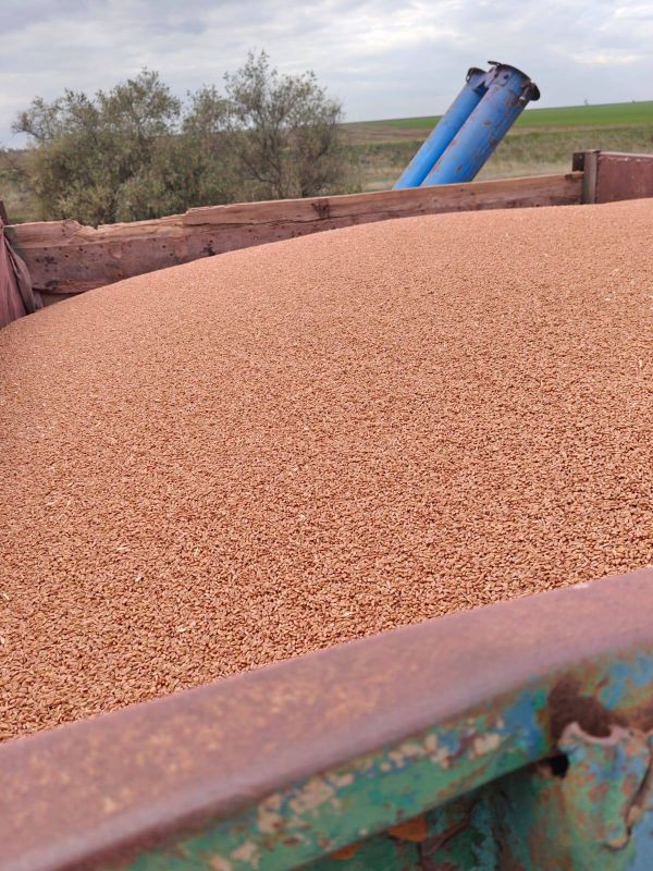 ��������� �������: ������� ����� ��� ���������� �������������������� ����������� ������ ������, ������������ �� ���������� ������������� ��������� ���������: ��� ������� ���� � ��� ������ ����