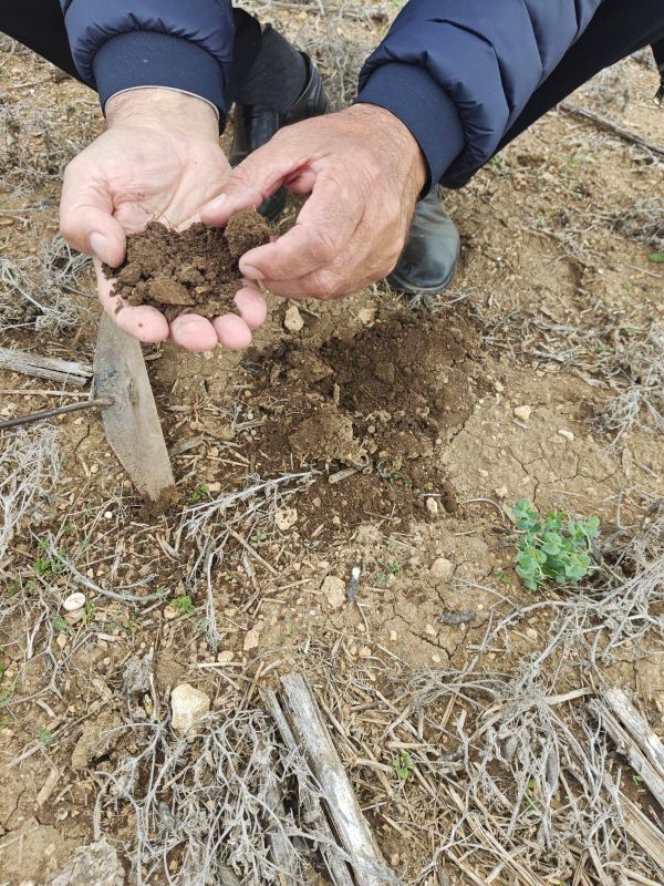 ��������� �������: ������� ����� ��� ���������� �������������������� ����������� ������ ������, ������������ �� ���������� ������������� ��������� ���������: ��� ������� ���� � ��� ������ ����