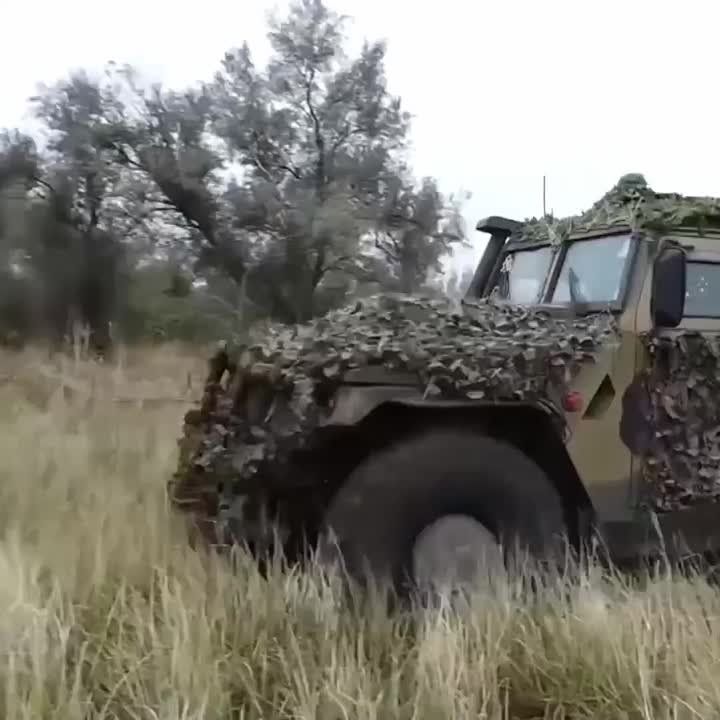 ������ ������: ������������ ����� �� ������� ������ �� ���������