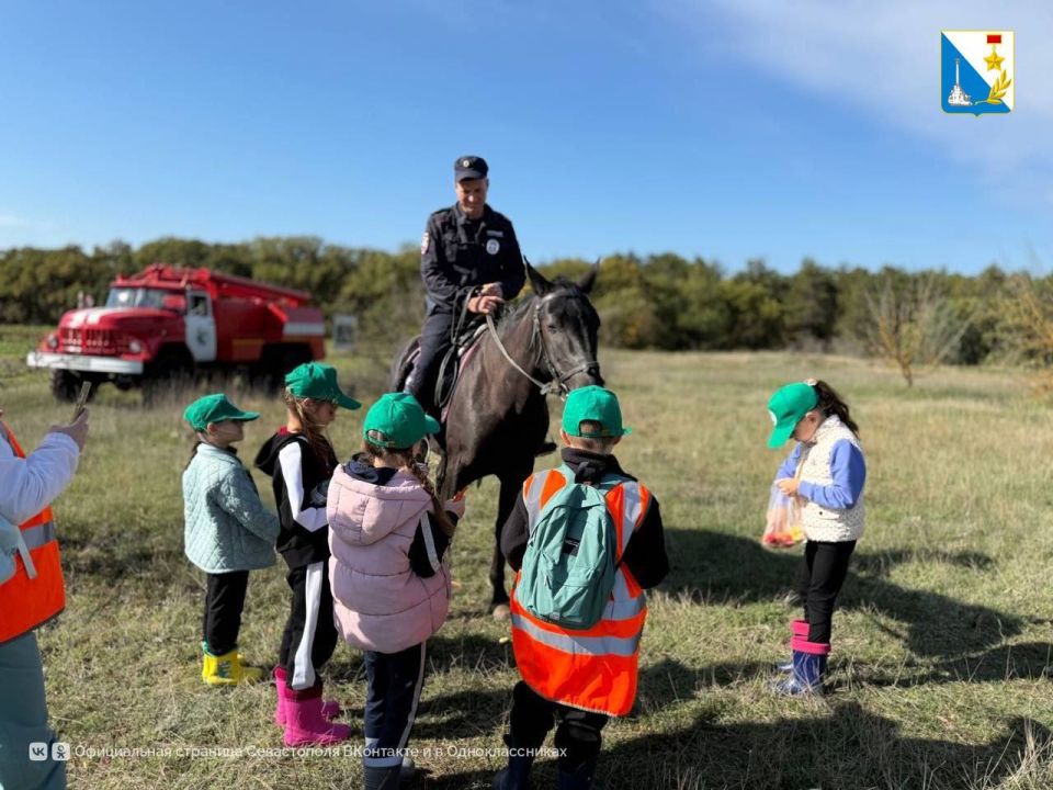 Юные экологи восстанавливают лес Юные экологи восстанавливают лес