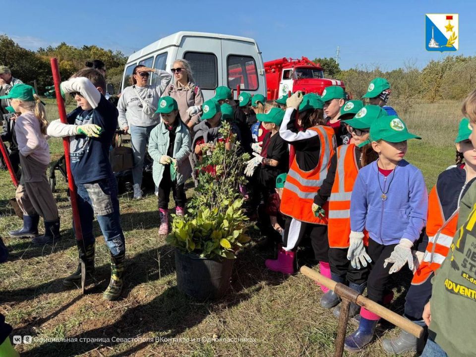Юные экологи восстанавливают лес Юные экологи восстанавливают лес