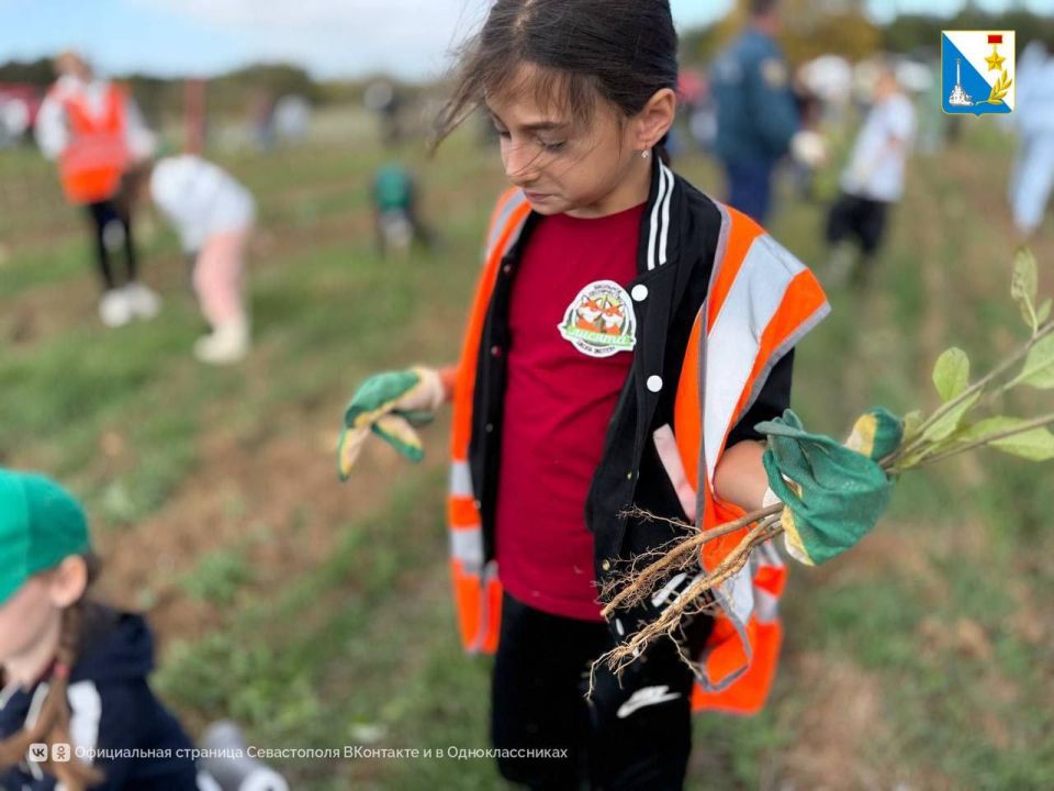 Юные экологи восстанавливают лес Юные экологи восстанавливают лес