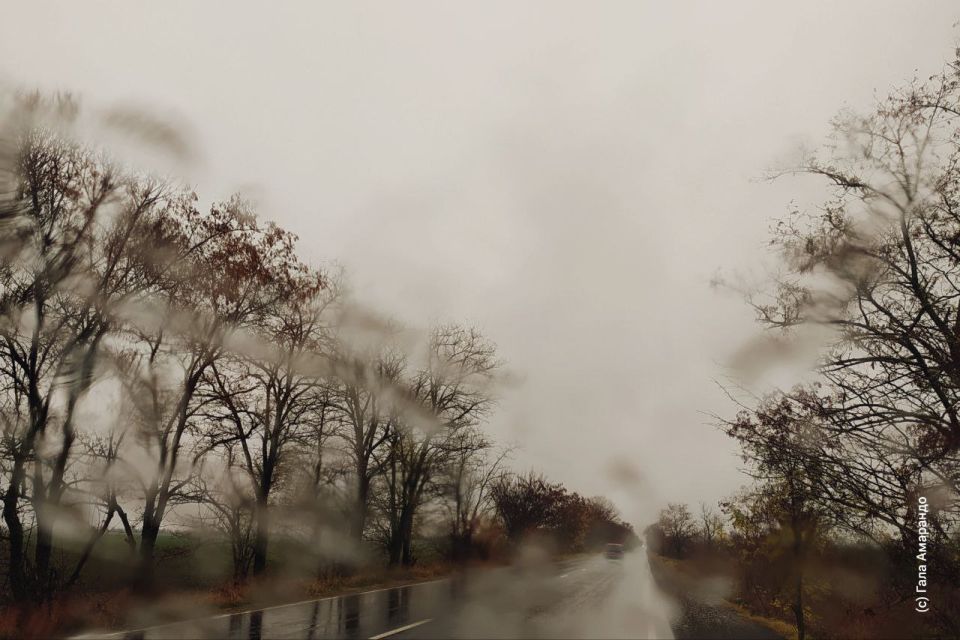 ������� ����� �������� ����������� ������ ������ � ���� ������� ����� � �����, �������� ������������� �����������