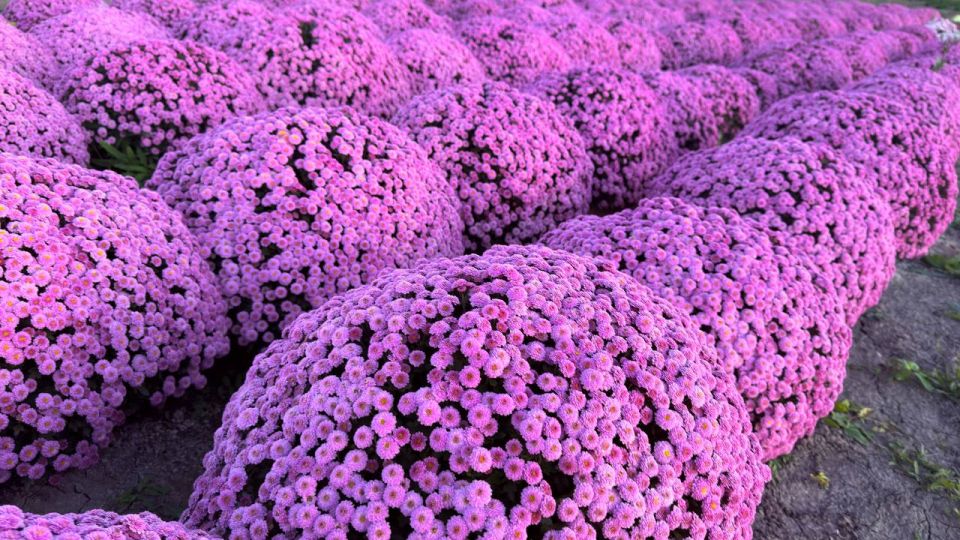 ����� ������: ������� ������!. � ������������ ������ ��������� ������������ ��� ���������! ��� ������������ �������, ��� ����� ������� ����������� ������������ ���� ���������� ������