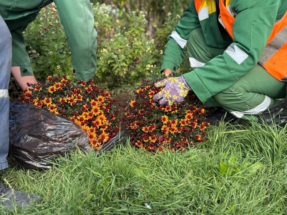 �� ��������� �������� ����� � ��������� ���������� ����������