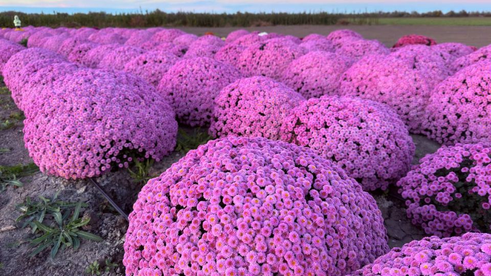 ����� ������: ������� ������!. � ������������ ������ ��������� ������������ ��� ���������! ��� ������������ �������, ��� ����� ������� ����������� ������������ ���� ���������� ������