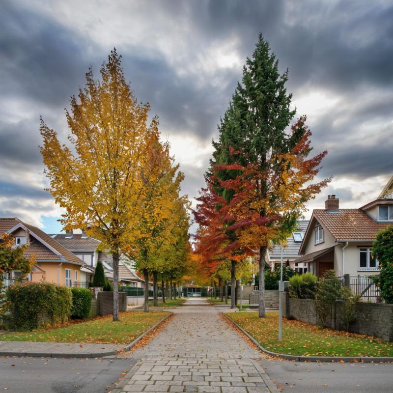 ������� ������ � ����� �� 26 �������