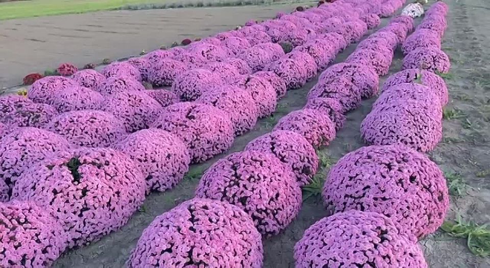 ����� ������: ������� ������!. � ������������ ������ ��������� ������������ ��� ���������! ��� ������������ �������, ��� ����� ������� ����������� ������������ ���� ���������� ������