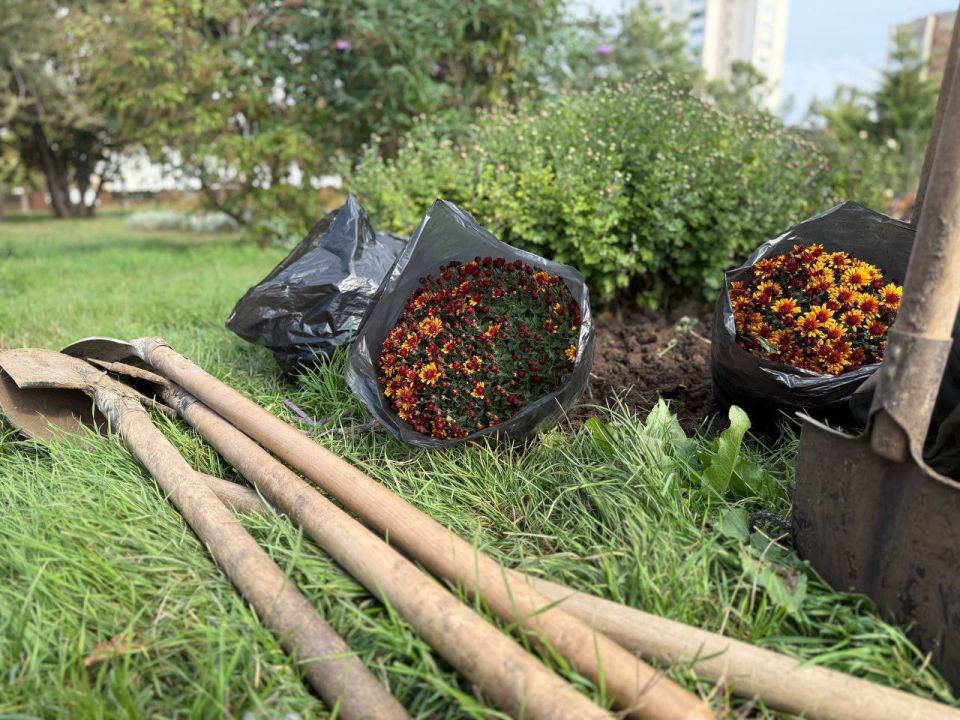 �� ��������� �������� ����� � ��������� ���������� ����������