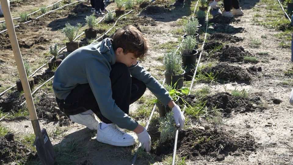 "������� ���������" � ����� ��������� ��������� 14 ����� ���������� �� ���� ������