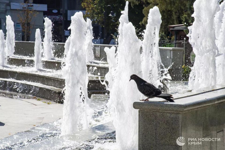 ������� ������ � ����� �� �����������