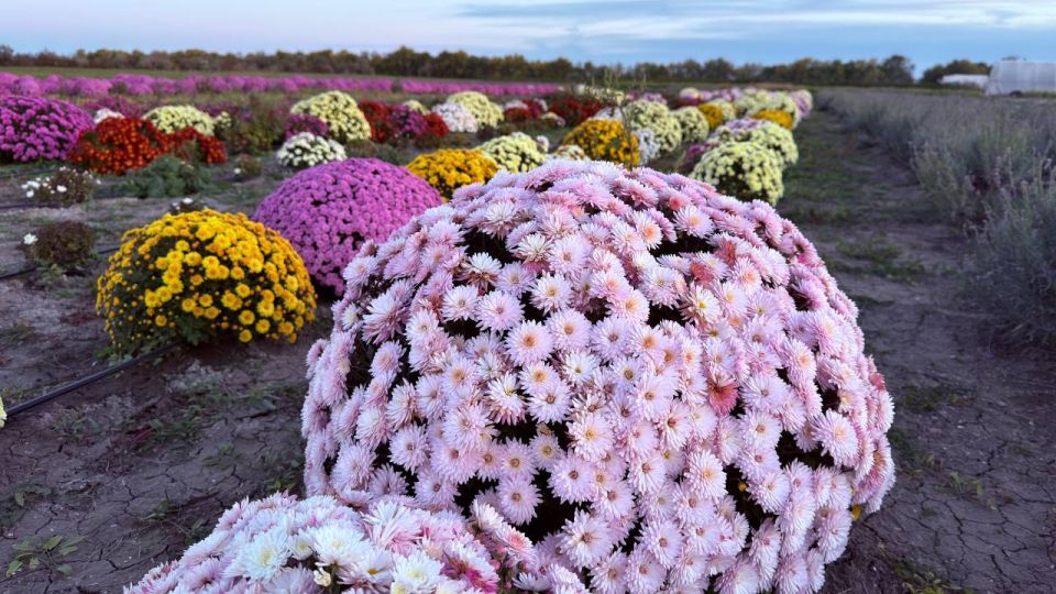 ����� ������: ������� ������!. � ������������ ������ ��������� ������������ ��� ���������! ��� ������������ �������, ��� ����� ������� ����������� ������������ ���� ���������� ������