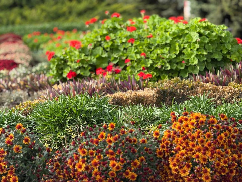 �� ��������� �������� ����� � ��������� ���������� ����������