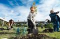Зелёный фестиваль в Крыму – большой осенний праздник для всей семьи