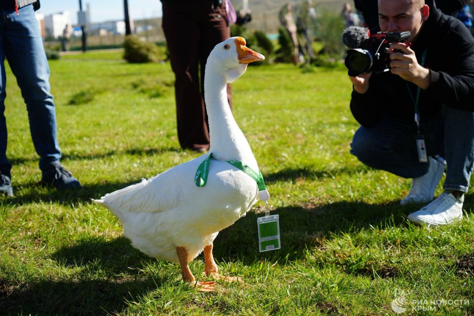 "������� ���������" � ����� ��������� ��������� 14 ����� ���������� �� ���� ������