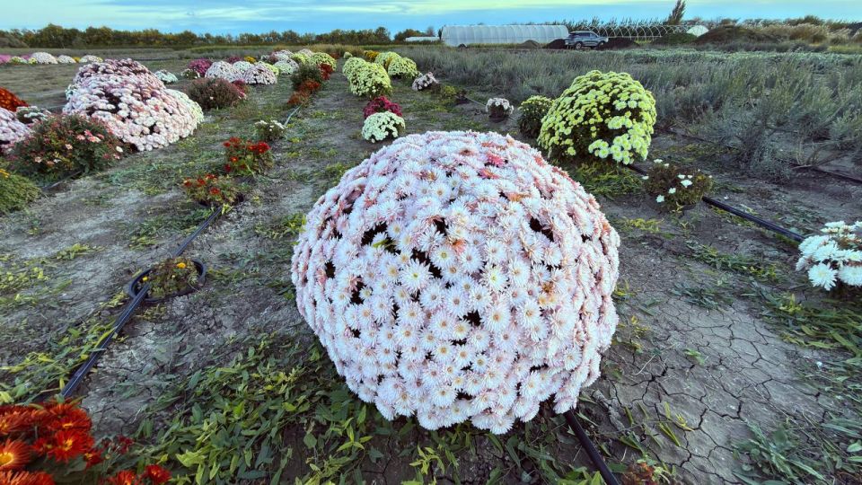 ����� ������: ������� ������!. � ������������ ������ ��������� ������������ ��� ���������! ��� ������������ �������, ��� ����� ������� ����������� ������������ ���� ���������� ������