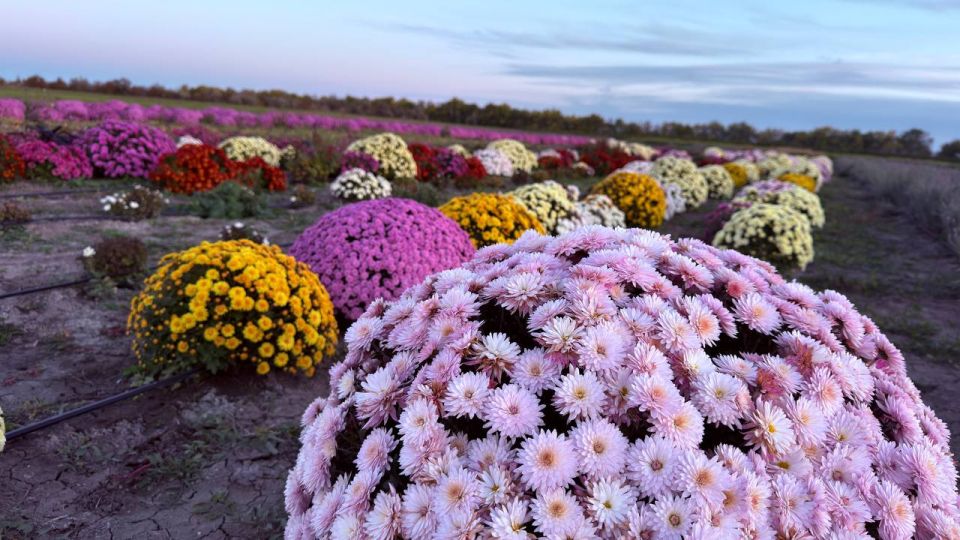 ����� ������: ������� ������!. � ������������ ������ ��������� ������������ ��� ���������! ��� ������������ �������, ��� ����� ������� ����������� ������������ ���� ���������� ������