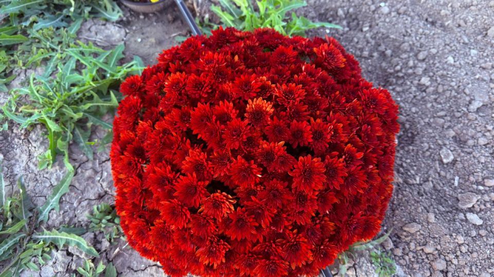 ����� ������: ������� ������!. � ������������ ������ ��������� ������������ ��� ���������! ��� ������������ �������, ��� ����� ������� ����������� ������������ ���� ���������� ������