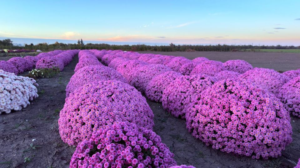 ����� ������: ������� ������!. � ������������ ������ ��������� ������������ ��� ���������! ��� ������������ �������, ��� ����� ������� ����������� ������������ ���� ���������� ������