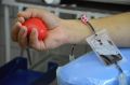 Более 450 ялтинцев в месяц становятся донорами крови