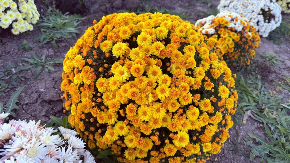 ����� ������: ������� ������!. � ������������ ������ ��������� ������������ ��� ���������! ��� ������������ �������, ��� ����� ������� ����������� ������������ ���� ���������� ������