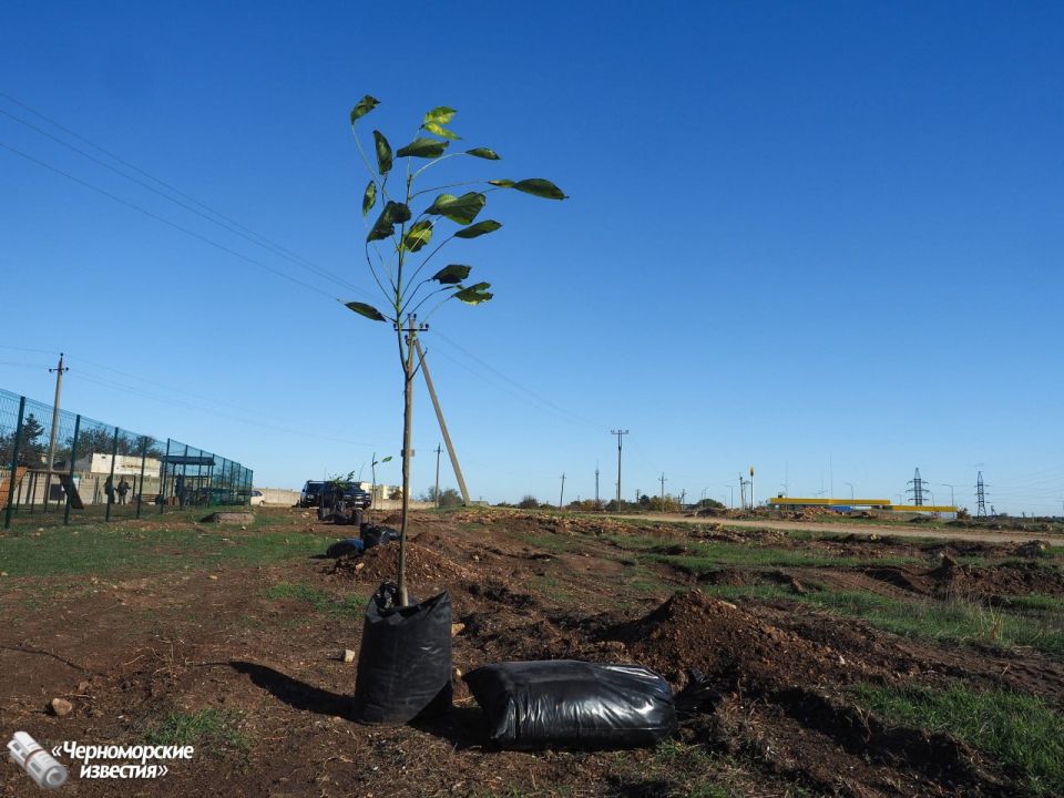 � ����� ��������� ������ "������������" �������� ��� ������ �����