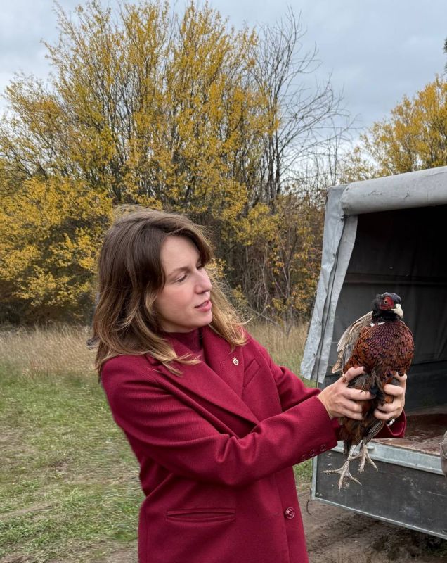 ������� �������� � ��������� �������� ���������� ���� ����� ������� ������� ������� � ���������� ������ � ��������������� ������